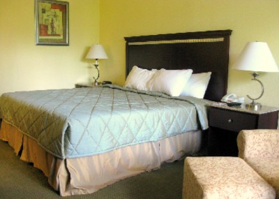 Clarion Hotel & Conference Ctr Busch Gardens 02.[1]